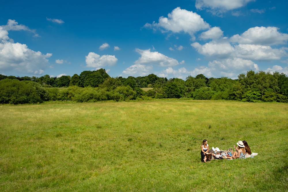 Picnic in the park